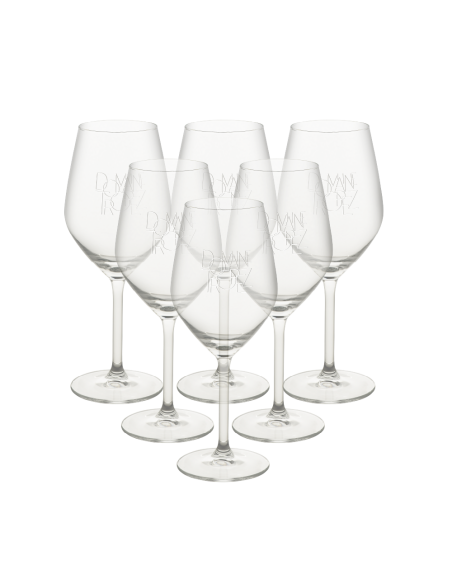 Verre Domaine Tropez x6